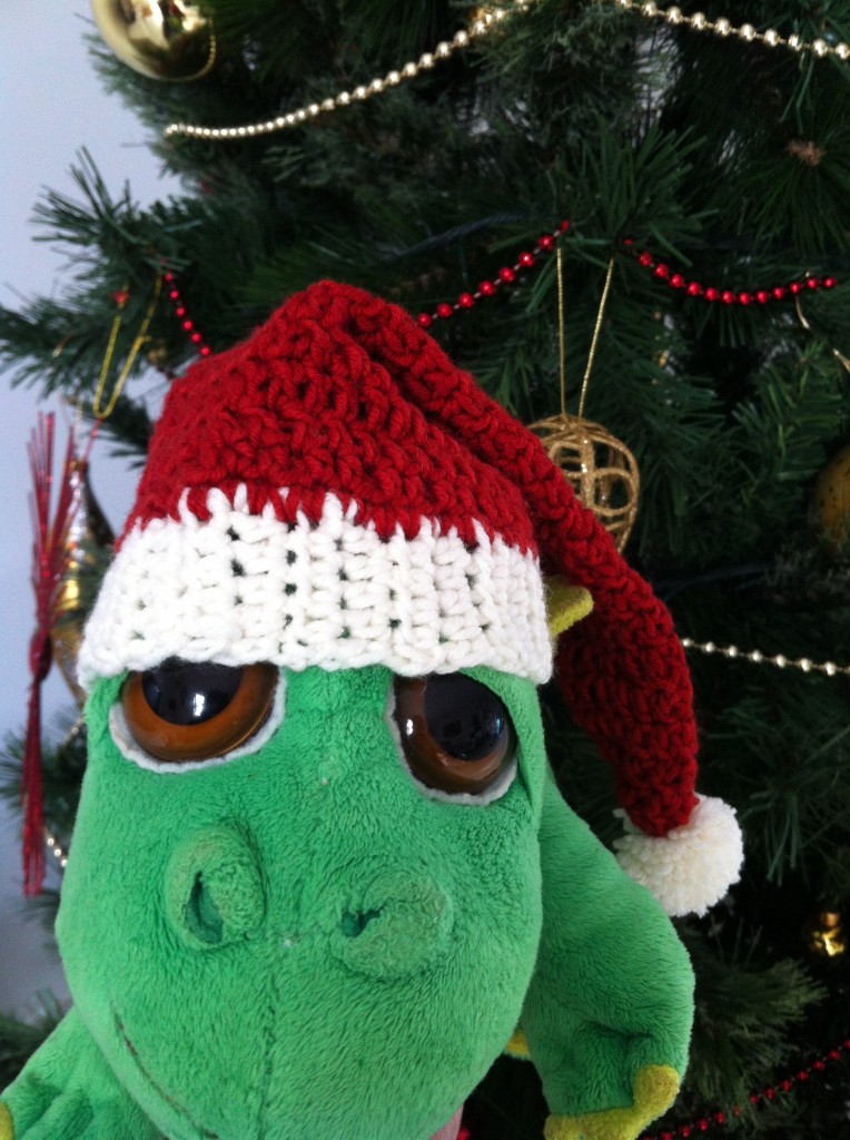 Le bonnet de Noël de Raoul